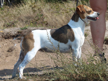 Zkrubbes Xana