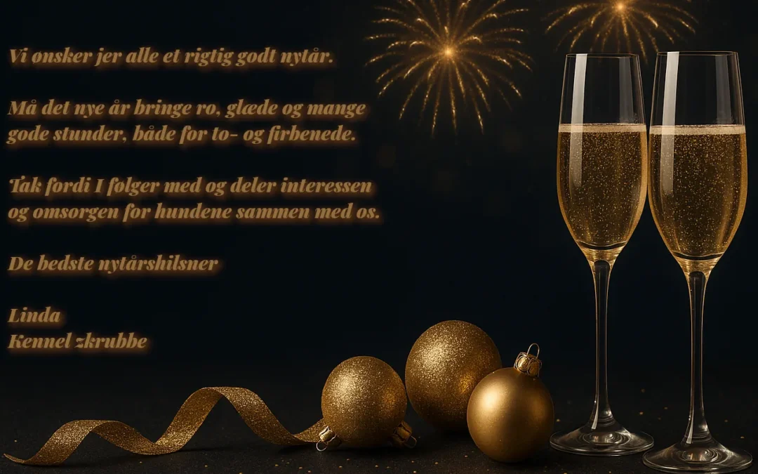 Godt nytår